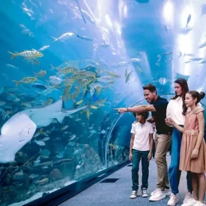 Dubai Aquarium and Underwater Zoo
